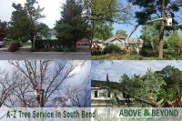 Above & Beyond Tree Services image 1